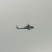 VMM-164 (REIN), 2nd Bn., 7th Marines conduct air insert during RIMPAC 2026