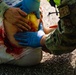 Whiteman MDG Conducts SOAR Exercise