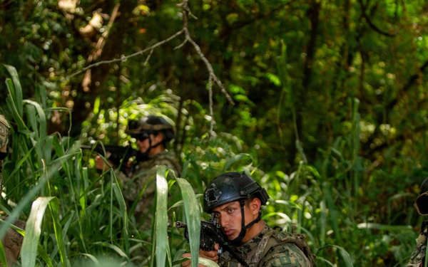 U.S. Marines, ROK, Mexican Naval Infantry marines participate in simulated battle during RIMPAC 26