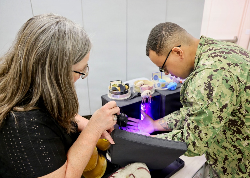 Nurses, corpsmen sharpen clinical abilities at NMRTC Twentynine Palms skills fair
