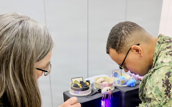 Nurses, corpsmen sharpen clinical abilities at NMRTC Twentynine Palms skills fair