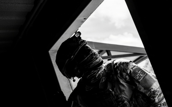 U.S. Navy and Peruvian Navy EOD participate in a dismounted response drill