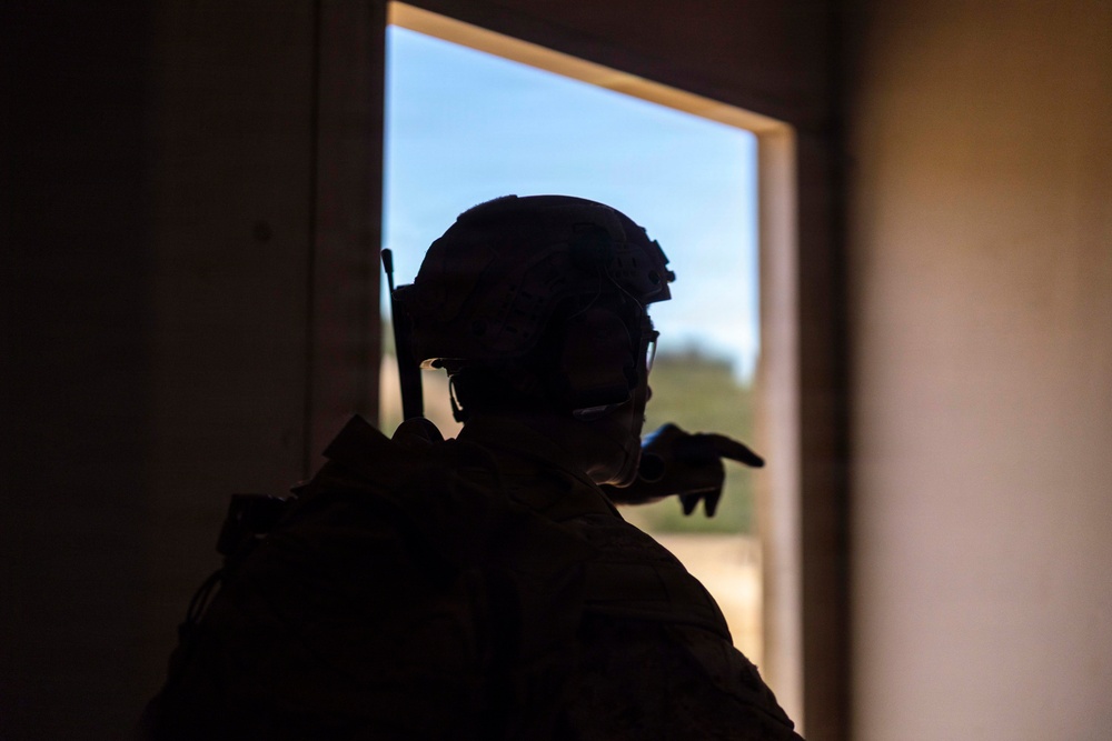 13th MEU | BLT 2/4 Conducts a Vertical Assault Raid