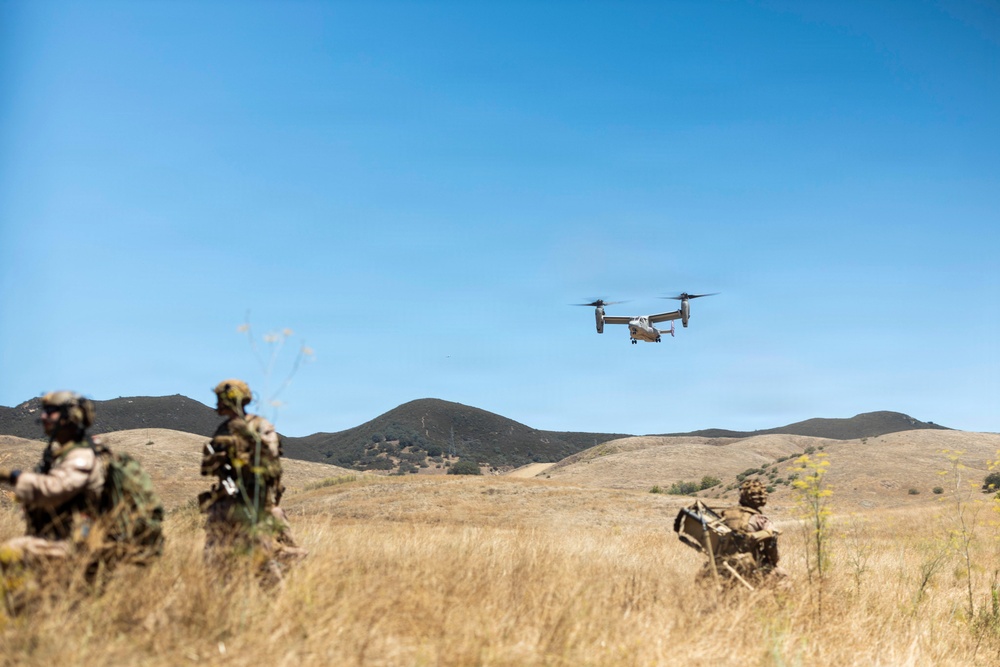 13th MEU | BLT 2/4 Conducts a Vertical Assault Raid