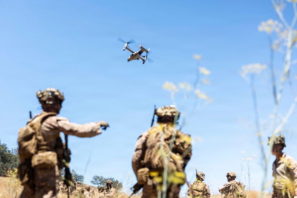 13th MEU | BLT 2/4 Conducts a Vertical Assault Raid