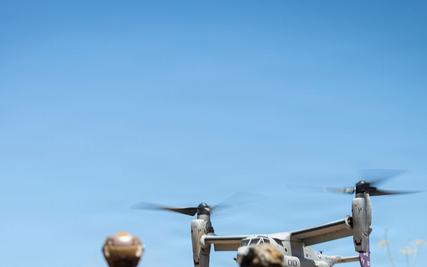 13th MEU | BLT 2/4 Conducts a Vertical Assault Raid