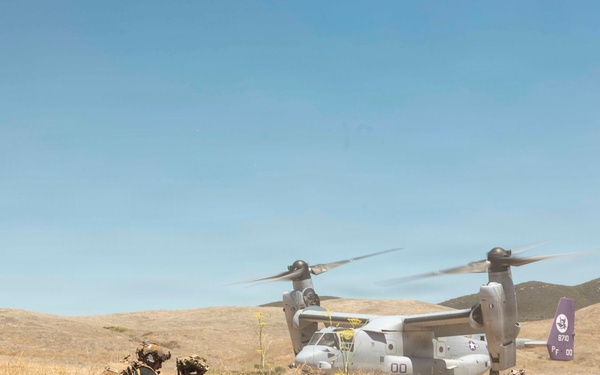 13th MEU | BLT 2/4 Conducts a Vertical Assault Raid