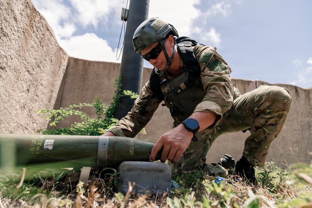 U.S. Navy and Partner EOD Forces participate in a dismounted response drill