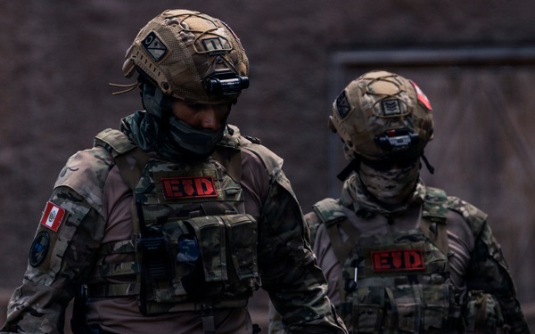 U.S. Navy and Partner EOD Forces participate in a dismounted response drill