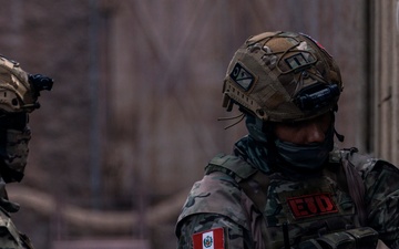 U.S. Navy and Partner EOD Forces participate in a dismounted response drill