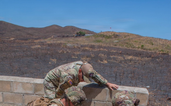 181st Medical Company (Area Support) Conducts MEDEVAC Training with UH-60 Black Hawk