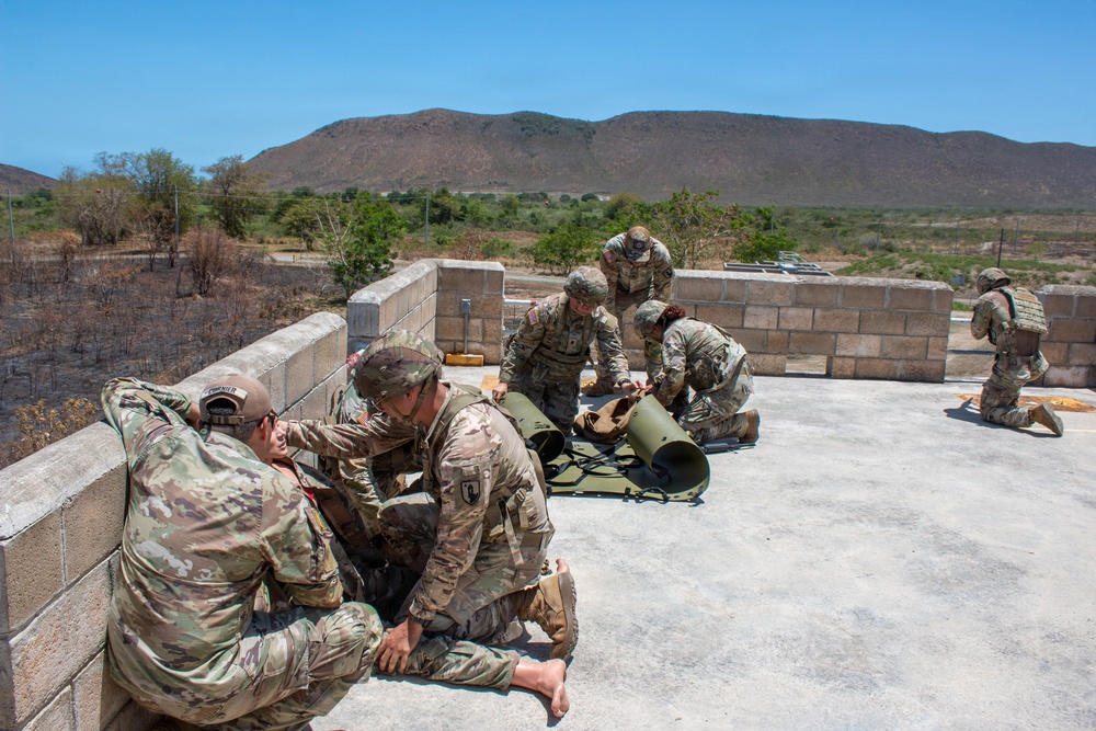 181st Medical Company (Area Support) Conducts MEDEVAC Training with UH-60 Black Hawk