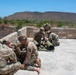 181st Medical Company (Area Support) Conducts MEDEVAC Training with UH-60 Black Hawk
