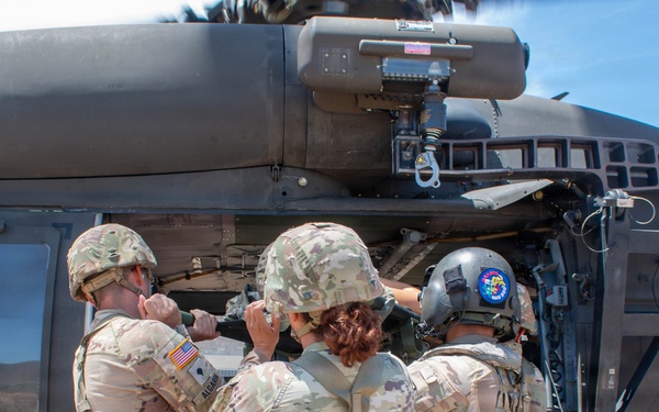 181st Medical Company (Area Support) Conducts MEDEVAC Training with UH-60 Black Hawk