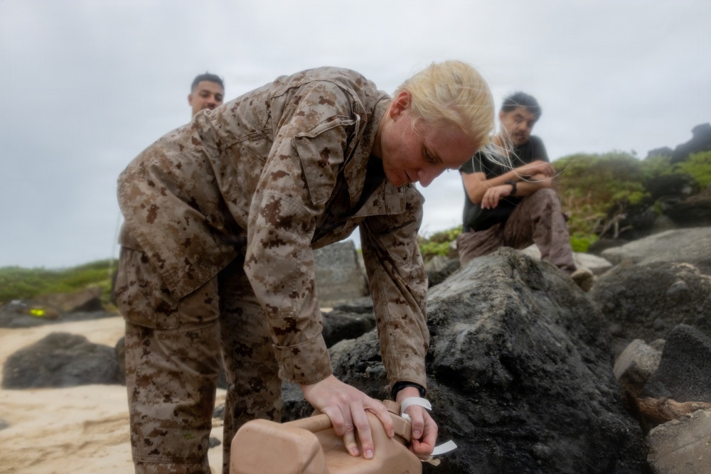 From Training to Testing: Marines with MCBH Conduct A MCMAP Culminating Event
