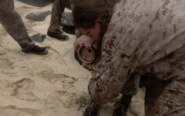 From Training to Testing: Marines with MCBH Conduct A MCMAP Culminating Event
