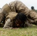 From Training to Testing: Marines with MCBH Conduct A MCMAP Culminating Event