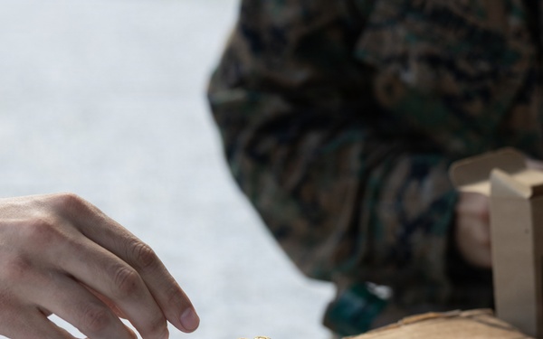 U.S. Marines Conduct Rifle and Pistol Marksmanship Training