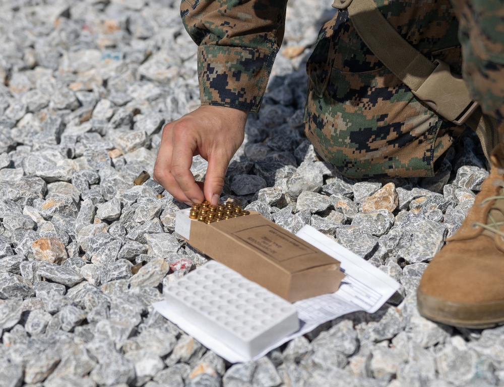U.S. Marines Conduct Rifle and Pistol Marksmanship Training