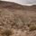 A group of military personnel in camouflage uniforms and tactical gear are conducting a patrol or training exercise through rocky desert terrain. The soldiers are moving in a dispersed formation up a hillside covered with sparse desert scrub vegetation. The overcast sky and arid landscape suggest a desert environment, likely a training range.