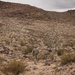 PCC6: 4ID Conducts Infantry Training Exercise