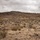 The image shows military personnel in camouflage uniforms conducting a patrol or training exercise across arid desert terrain toward a rocky hill. At least three soldiers are visible, spread out in a tactical formation moving away from the camera. The environment is characterized by sparse desert scrub vegetation, rocky ground, and an overcast sky.