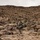 A group of military personnel in full combat gear are conducting a patrol or tactical movement through a rocky desert terrain. The soldiers are moving away from the camera toward a hillside covered in scrub brush and dark volcanic-looking rocks. The foreground soldier is carrying what appears to be a shoulder-fired weapon system, likely an AT4 or similar anti-tank rocket launcher.