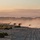 A convoy of military-style vehicles travels along a dirt desert road at either sunrise or sunset, kicking up large dust clouds behind them. The scene is set in an arid, flat desert landscape with sparse scrub brush and a mountain range visible in the background. The warm, hazy atmospheric lighting gives the image a dramatic, cinematic quality.