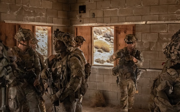 PCC6: 4ID Conducts Infantry Training Exercise