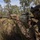 Predator’s Run 26: MRF-D Marines conduct multinational live-fire mortar exercise Predator’s Run 26: MRF-D Marines conduct multinational live-fire mortar exercise
