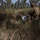 Predator’s Run 26: MRF-D Marines conduct multinational live-fire mortar exercise Predator’s Run 26: MRF-D Marines conduct multinational live-fire mortar exercise