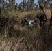 Predator’s Run 26: MRF-D Marines conduct multinational live-fire mortar exercise
