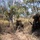 Predator’s Run 26: MRF-D Marines conduct multinational live-fire mortar exercise Predator’s Run 26: MRF-D Marines conduct multinational live-fire mortar exercise
