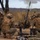 Predator’s Run 26: MRF-D Marines conduct multinational live-fire mortar exercise Predator’s Run 26: MRF-D Marines conduct multinational live-fire mortar exercise