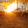 Predator’s Run 26: MRF-D Marines conduct multinational live-fire mortar exercise Predator’s Run 26: MRF-D Marines conduct multinational live-fire mortar exercise