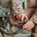 U.S. Marines conduct HIMARS routine preventative maintenance
