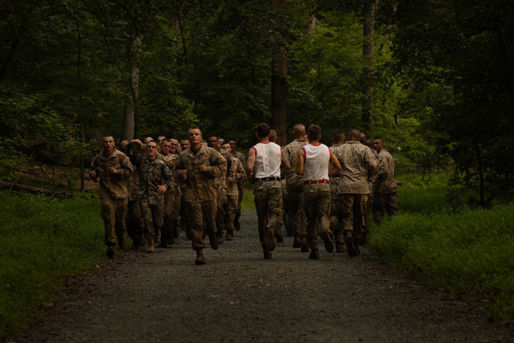 Alpha and Delta Company Complete the Montford Point Challenge Course at OCS
