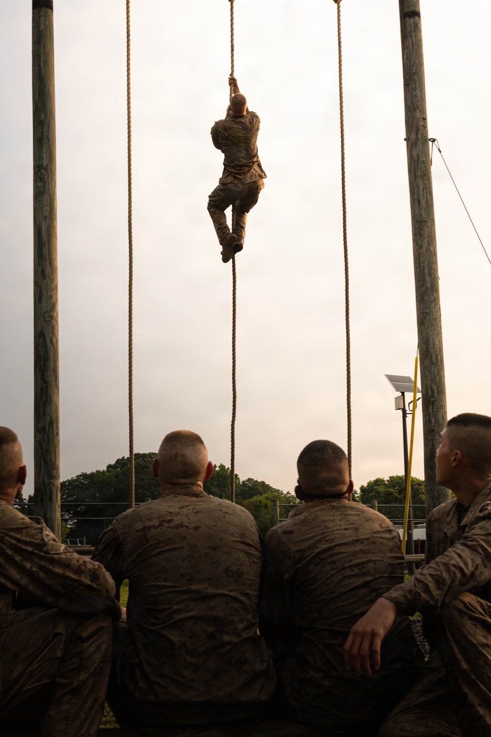 Alpha and Delta Company Complete the Montford Point Challenge Course at OCS