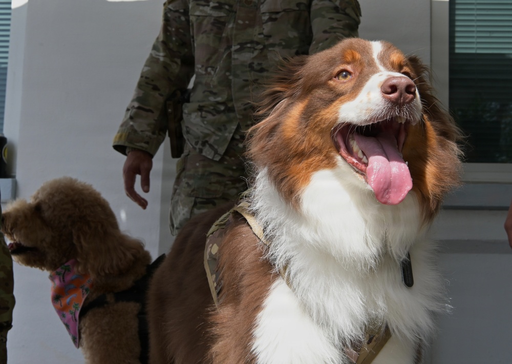 Coffee and Pups Event