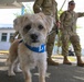 Coffee and Pups Event