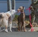 Coffee and Pups Event
