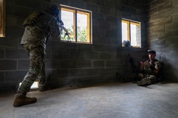 Expanding battlefield capabilities with FPV drone technology