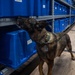 341st SFS K-9 team enhances explosive detection readiness with interagency partners
