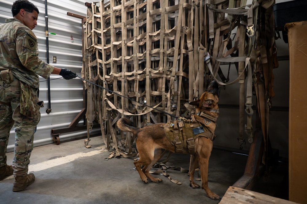 341st SFS K-9 team enhances explosive detection readiness with interagency partners