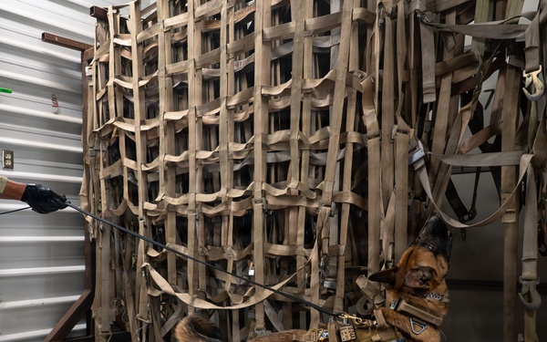 341st SFS K-9 team enhances explosive detection readiness with interagency partners