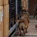 341st SFS K-9 team enhances explosive detection readiness with interagency partners