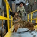 341st SFS K-9 team enhances explosive detection readiness with interagency partners