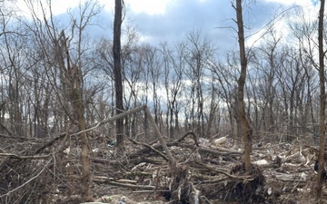 U.S. Army Corps of Engineers awards Cherokee National Forest debris removal contract