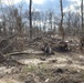 U.S. Army Corps of Engineers awards Cherokee National Forest debris removal contract