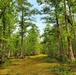 ERDC-EL researchers join USACE New Orleans District-led Maurepas Swamp Project